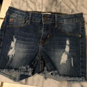 Hudson Jeans Blue Distressed Jean Shorts